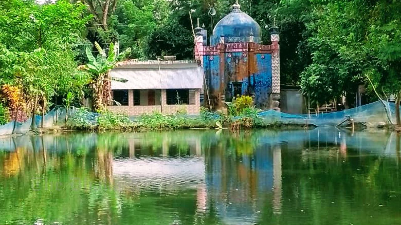 Silent revolution of fish farming in Chandina